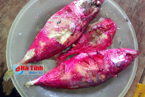 Đã có kết quả xét nghiệm 'cá kho chuyển màu đỏ' ở Hà Tĩnh